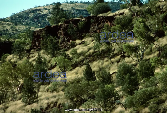  : Finke Gorge National Park Central Australia