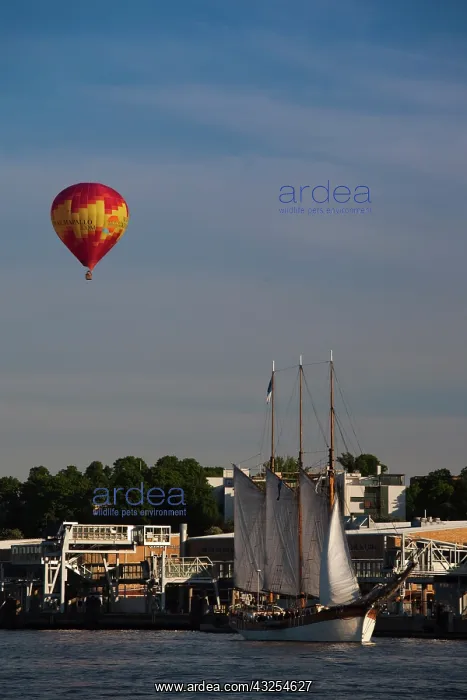 : Finland, Helsinki, Helsinki Harbor, sailing : Finland, Helsinki, Helsinki Harbor, sailing