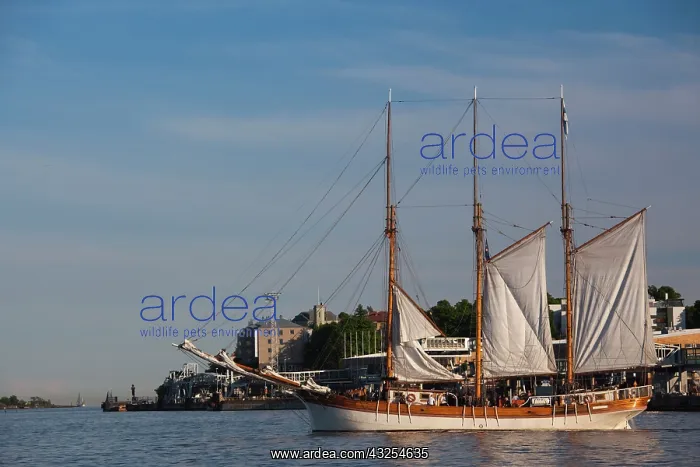 : Finland, Helsinki, Helsinki Harbor, sailing : Finland, Helsinki, Helsinki Harbor, sailing