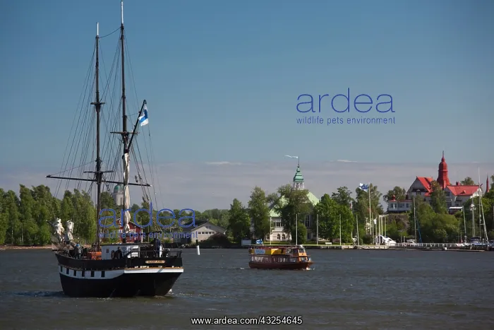 : Finland, Helsinki, Helsinki Harbor, sailing : Finland, Helsinki, Helsinki Harbor, sailing