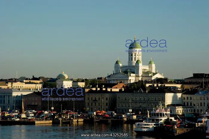: Finland, Helsinki. The Lutheran Cathedral : Finland, Helsinki. The Lutheran Cathedral