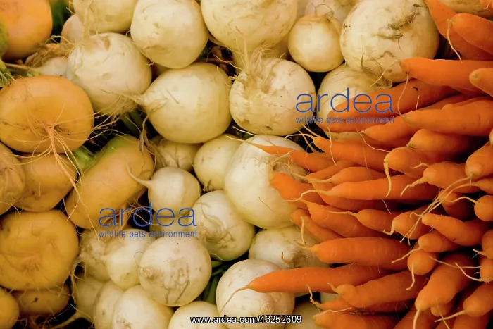: Finland, Helsinki. Produce at an outdoor : Finland, Helsinki. Produce at an outdoor