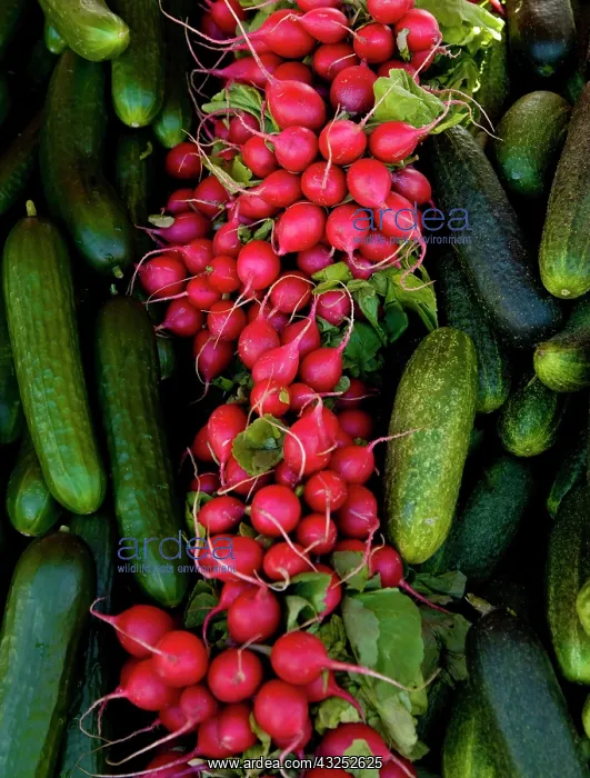 : Finland, Helsinki. Produce at an outdoor : Finland, Helsinki. Produce at an outdoor