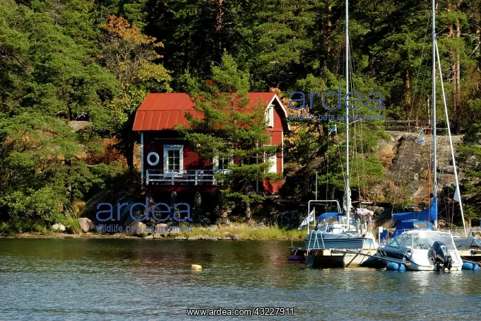 : Finland, Helsinki. Vacation home and boats : Finland, Helsinki. Vacation home and boats