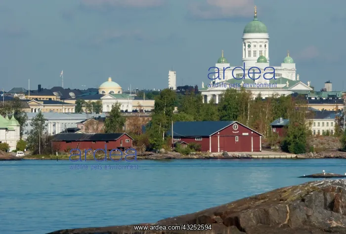 : Finland, Helsinki. Views of city from harbor : Finland, Helsinki. Views of city from harbor