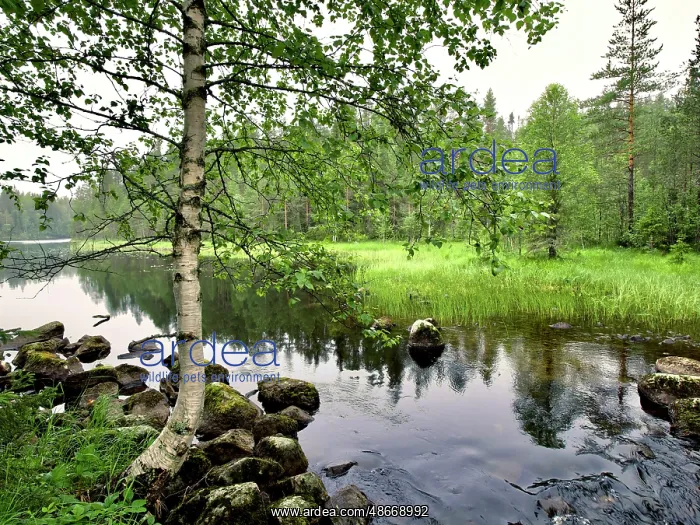 : Finland, Kainuu, Hossa National Park. Along Karhunkierros : Finland, Kainuu, Hossa National Park. Along Karhunkierros