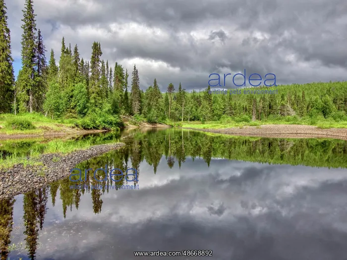 : Finland, Kuusamo, Oulanka National Park. Oulanka river : Finland, Kuusamo, Oulanka National Park. Oulanka river