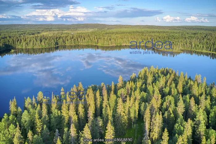 : Finland, North Ostrobothnia, Rukatunturi area. Aerial views : Finland, North Ostrobothnia, Rukatunturi area. Aerial views