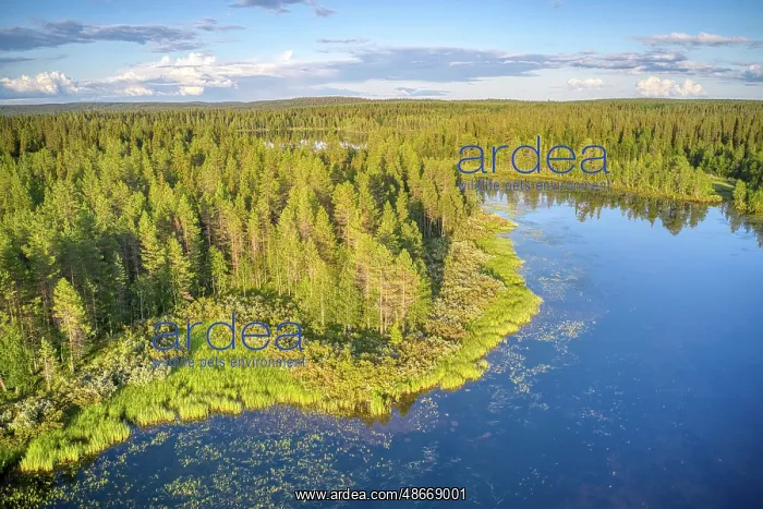 : Finland, North Ostrobothnia, Rukatunturi area. Aerial views : Finland, North Ostrobothnia, Rukatunturi area. Aerial views