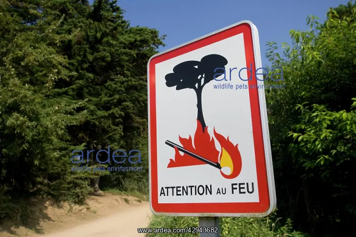 : Fire danger warning Attention Feu sign : Fire danger warning Attention Feu sign