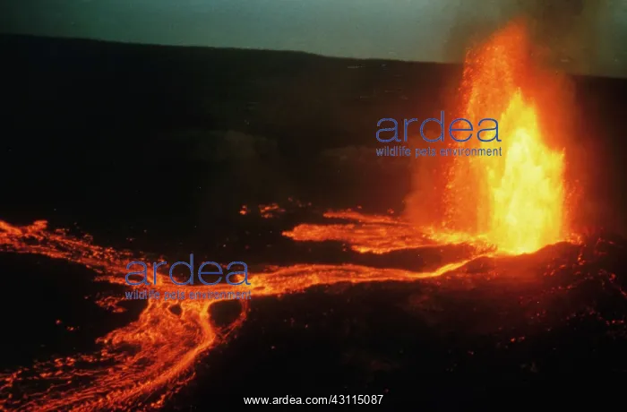: Fire Fountain, Kilauea Volcano, Hawaii : Fire Fountain, Kilauea Volcano, Hawaii