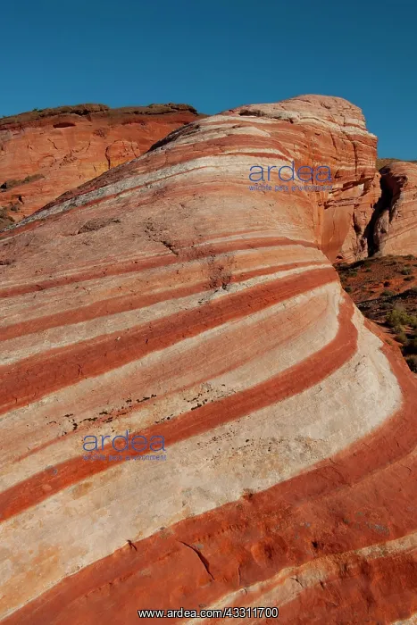 : Fire Wave rock formation in the evening light, Valley : Fire Wave rock formation in the evening light, Valley