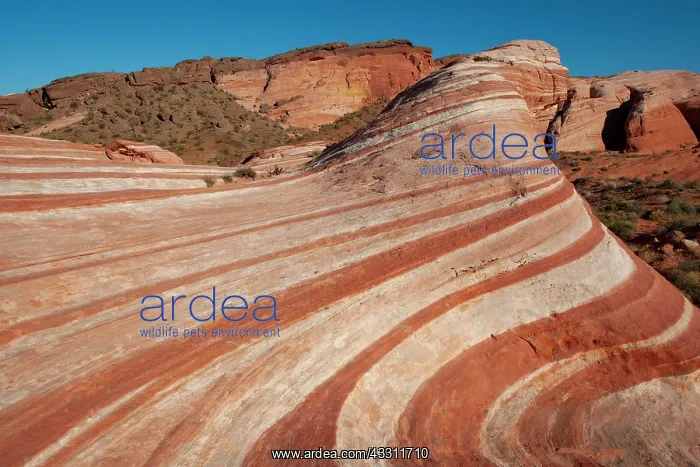 : Fire Wave rock formation in the evening light, Valley : Fire Wave rock formation in the evening light, Valley