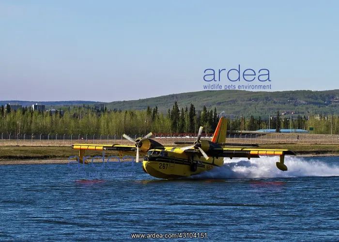 : Firefighting plane : Firefighting plane