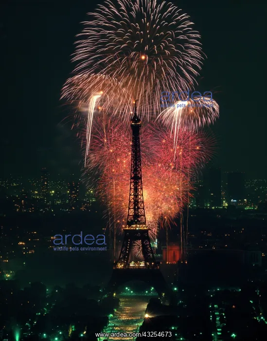 : Fireworks, Eiffel Tower, Paris, France : Fireworks, Eiffel Tower, Paris, France