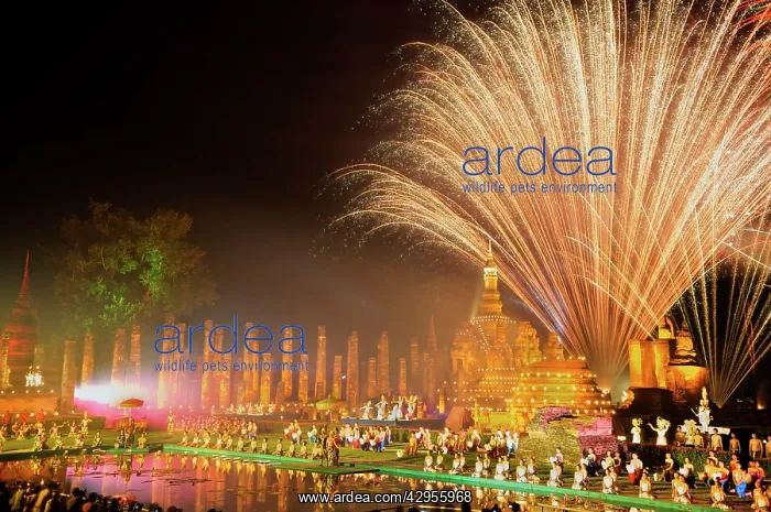 : Fireworks Show Loy krathong : Fireworks Show Loy krathong