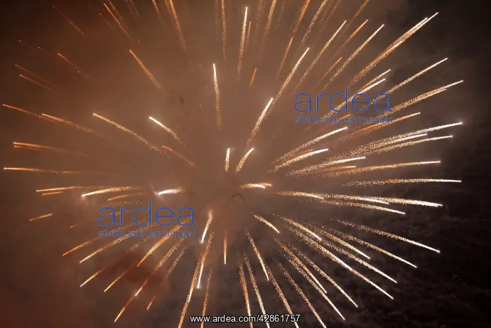: Fireworks at night - Marbella : Fireworks at night - Marbella