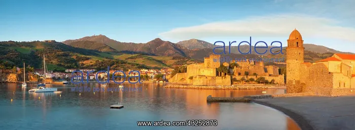 : First light of dawn over town of Collioure : First light of dawn over town of Collioure