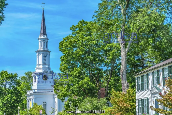 : First Parish Church, Harrington House, Lexington : First Parish Church, Harrington House, Lexington
