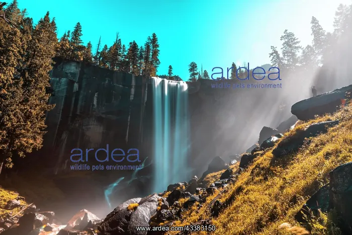 : First rays of dawn at Vernal Falls of Yosemite N : First rays of dawn at Vernal Falls of Yosemite N