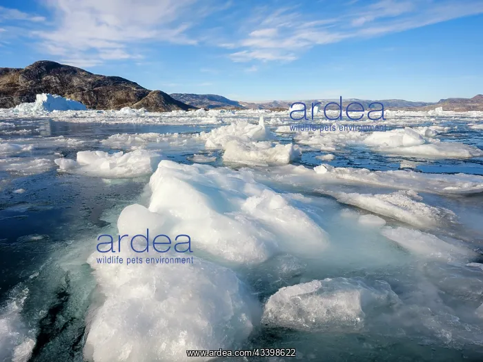  : First sea ice during late autumn, early winter