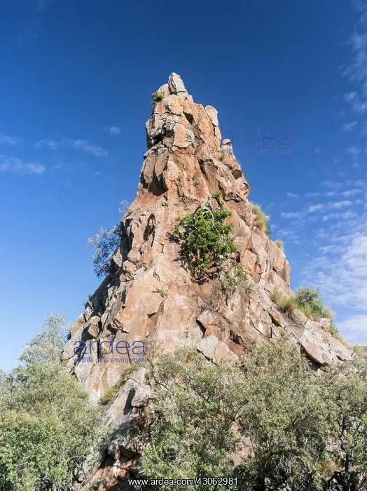: Fischers Tower in the upper gorge of Hell's : Fischers Tower in the upper gorge of Hell's