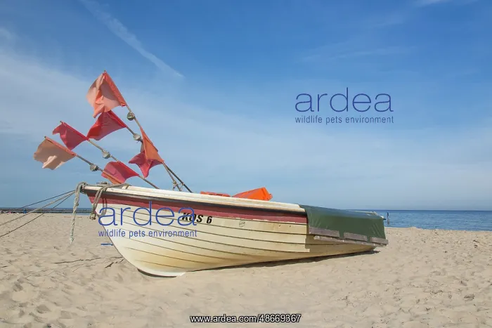 : Fisching Boat Koserow 02 : Fisching Boat Koserow 02