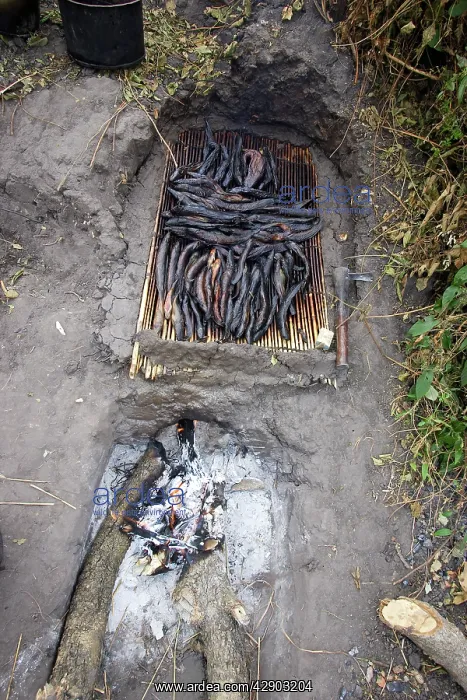 : Fish - being cooked over fire : Fish - being cooked over fire