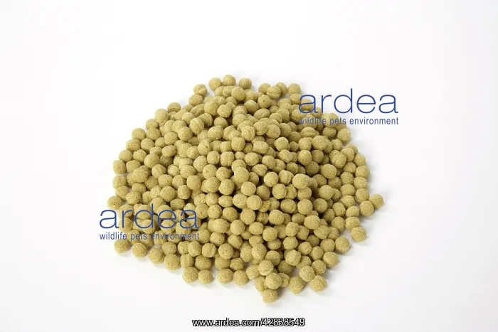 : Fish Food pellets : Fish Food pellets