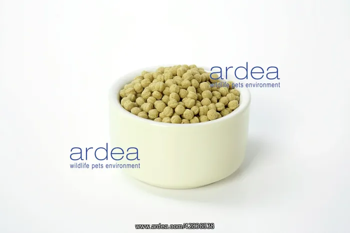  : Fish Food pellets in bowl