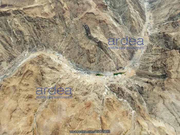 : The Fish River Canyon with a length of 160 km is the second largest canyon in the world and the largest in Africa : The Fish River Canyon with a length of 160 km is the second largest canyon in the world and the largest in Africa