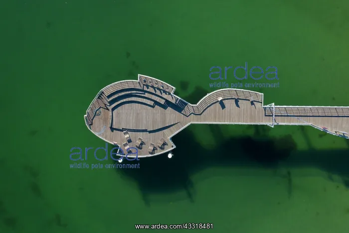 : Fish-shaped sea bridge in the Baltic Sea spa Niendorf : Fish-shaped sea bridge in the Baltic Sea spa Niendorf