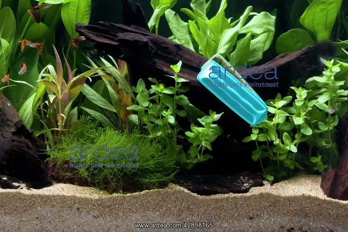  : Fish Tank