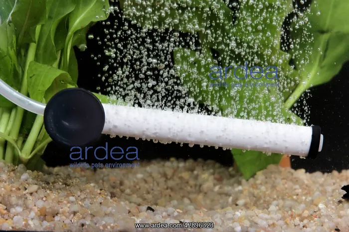 : Fish tank - air diffuser