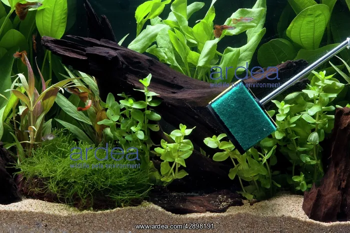  : Fish Tank - being cleaned