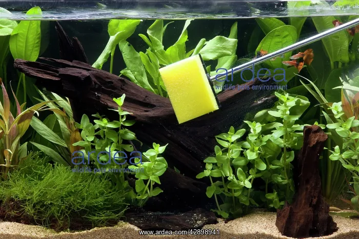  : Fish Tank - being cleaned