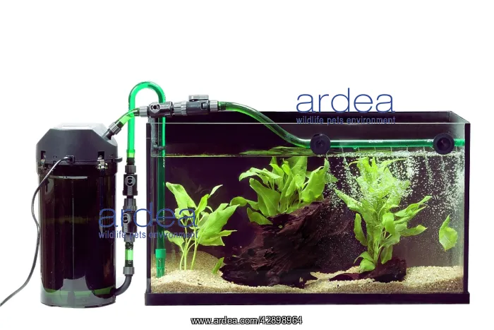  : Fish Tank - exterior pump with filter
