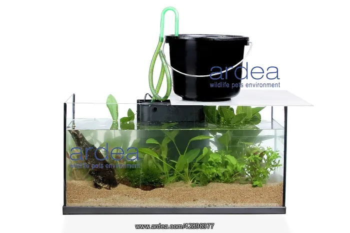  : Fish Tank - being filled up