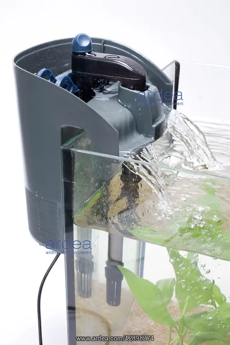  : Fish tank - with filter