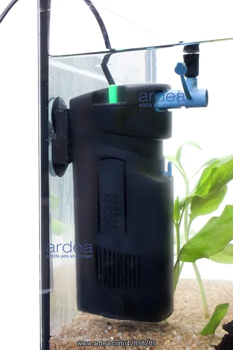  : Fish tank - with filter