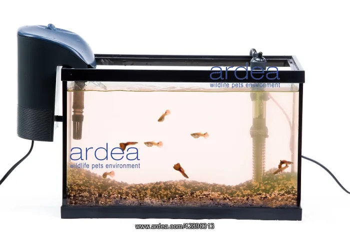  : Fish Tank - with filter in studio