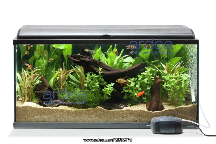 : Fish Tank - with oxygen diffuser & pump : Fish Tank - with oxygen diffuser & pump