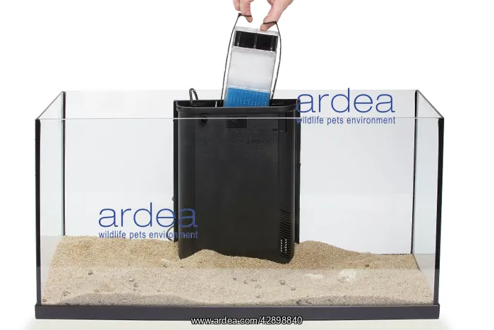 : Fish Tank - being set up - installing filters : Fish Tank - being set up - installing filters