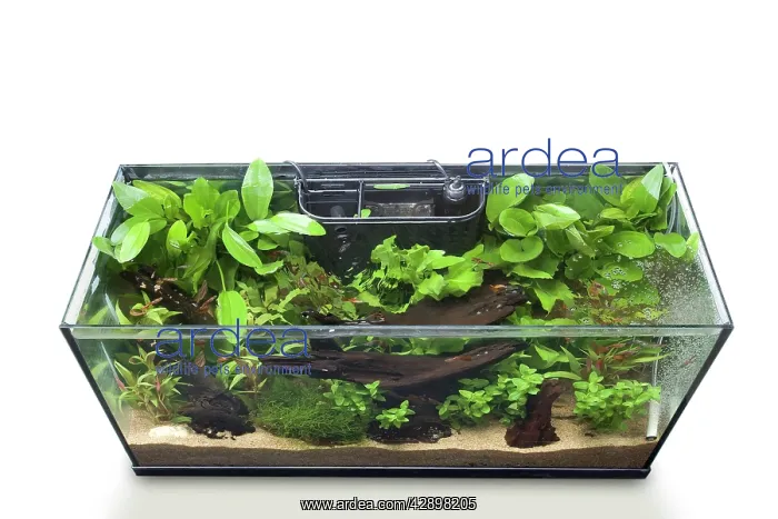  : Fish tank - in studio