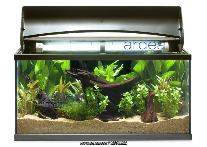  : Fish tank - in studio