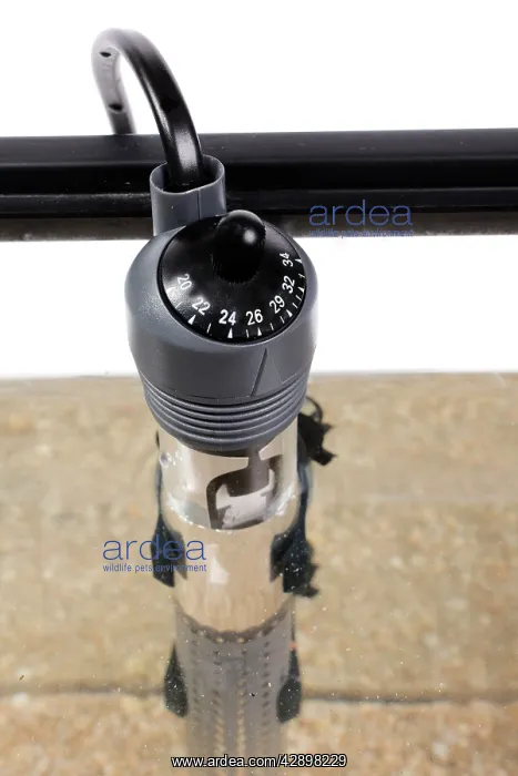 : Fish Tank - temperature / heating control thermostat : Fish Tank - temperature / heating control thermostat