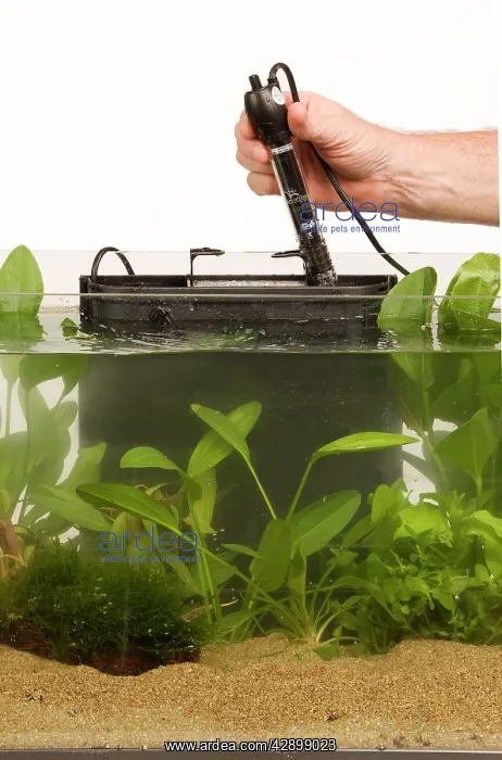 : Fish Tank - with thermostat : Fish Tank - with thermostat