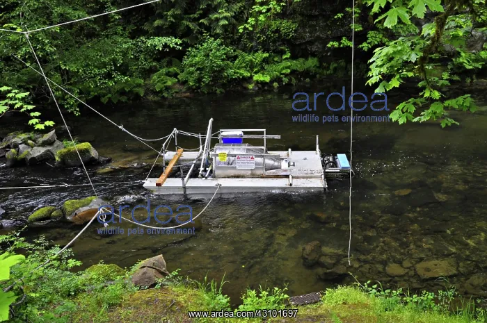 : Fish Trap. A fish trap used to monitor juvenile salmonid populations in : Fish Trap. A fish trap used to monitor juvenile salmonid populations in