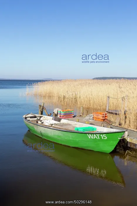 : Fisher Warthe : Fisher Warthe