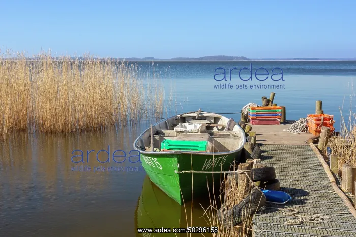 : Fisher Warthe : Fisher Warthe